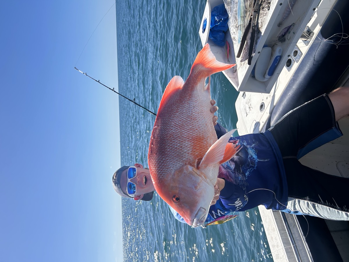 Red emperor in the sun